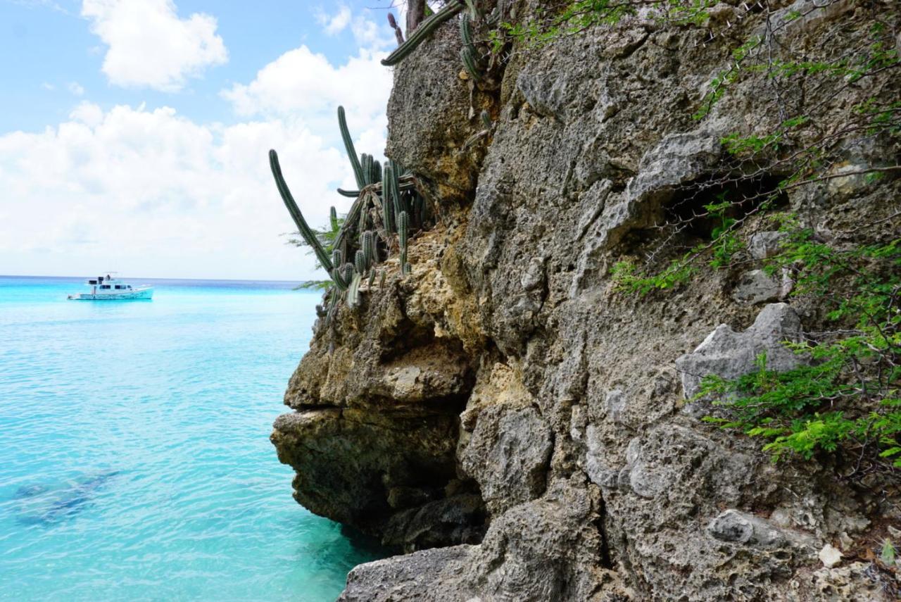 فندق Boca Simon Vacation Curacao يلمستاد المظهر الخارجي الصورة