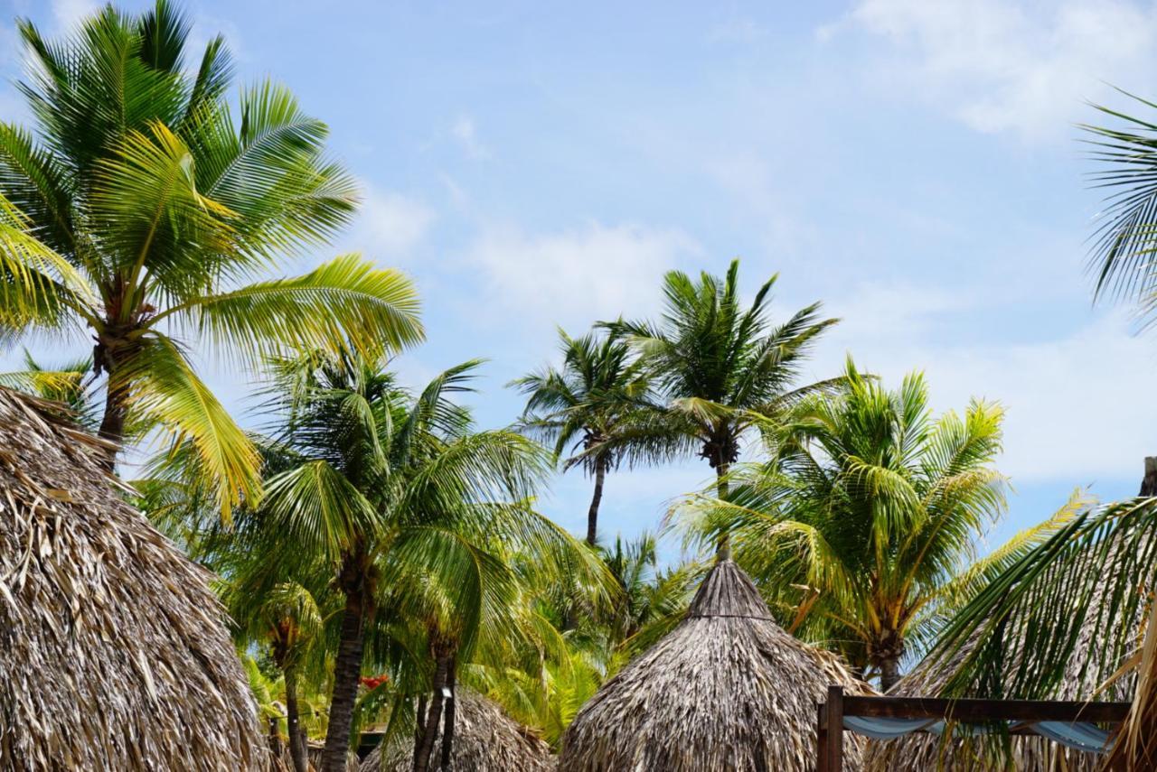 فندق Boca Simon Vacation Curacao يلمستاد المظهر الخارجي الصورة